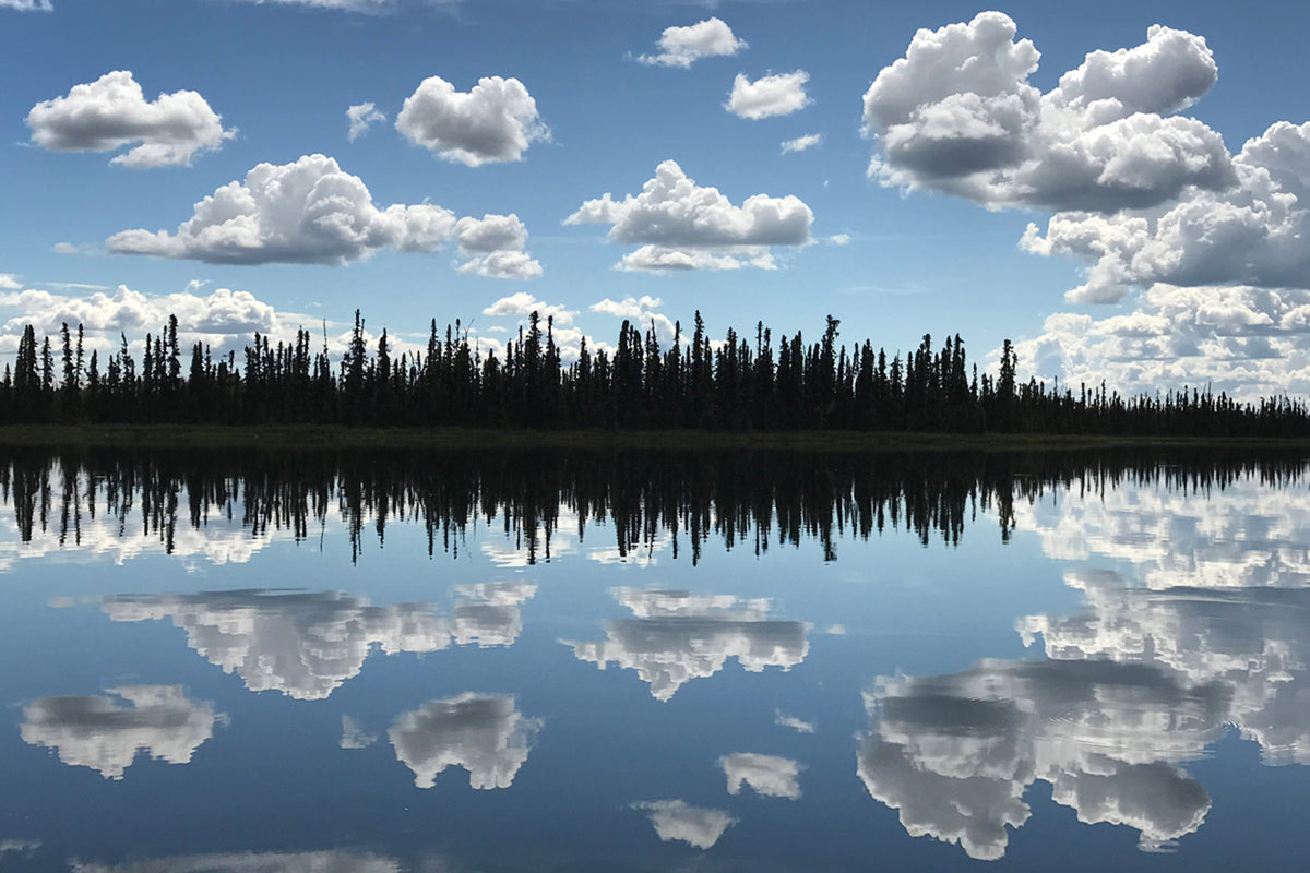 Photo Kashwitnalakeroth Anchorage Daily News Store