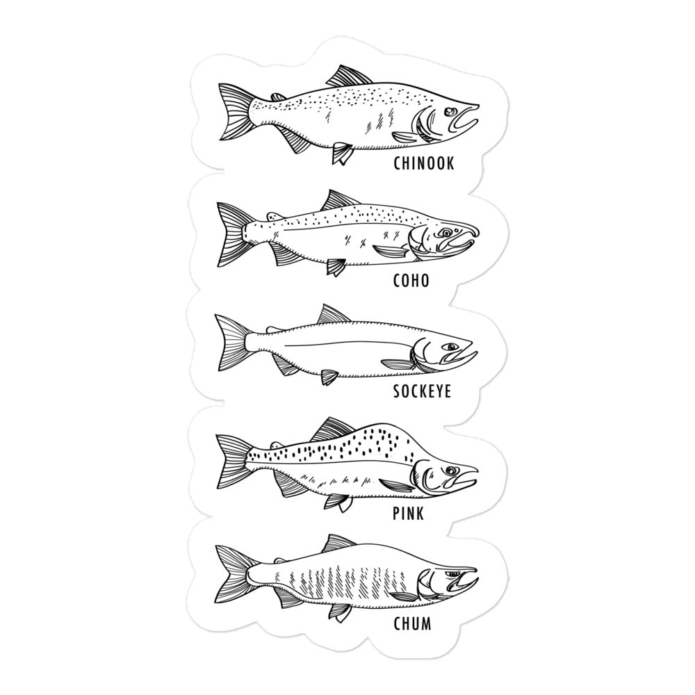 Salmon Series Sticker – Anchorage Daily News Store